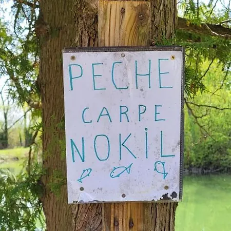 キャンプ場 Anne Marie Touzani Boofzheim